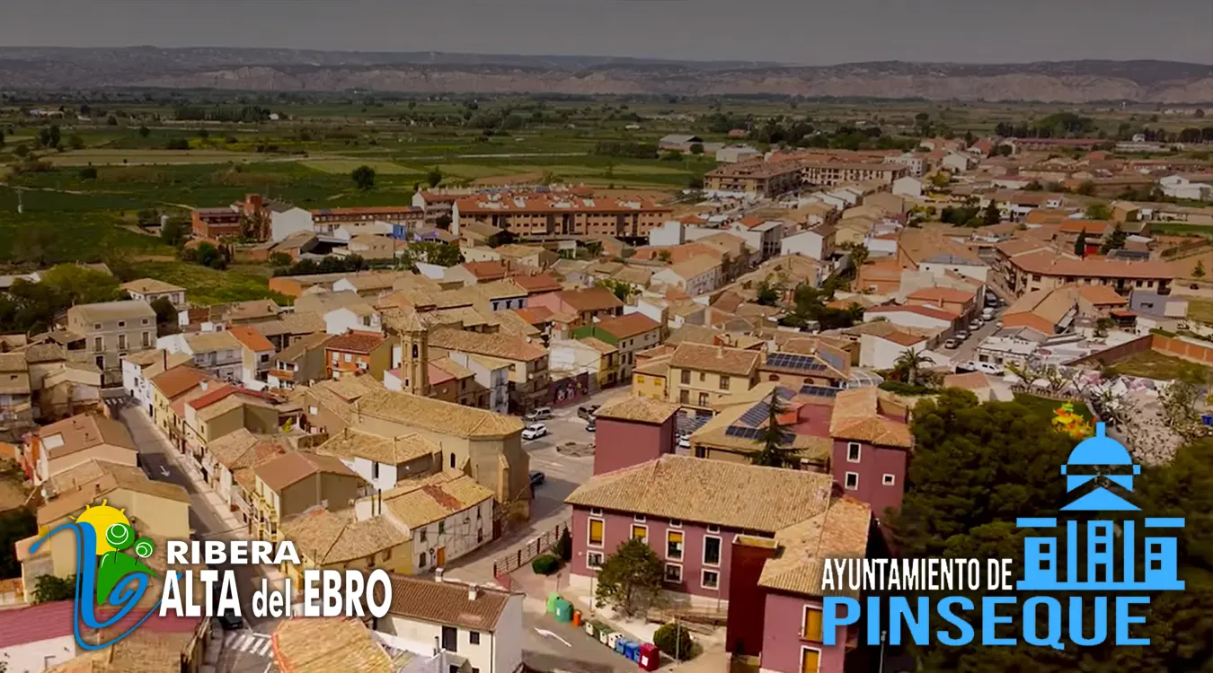 Conoce Pinseque