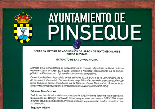 Becas libros de texto