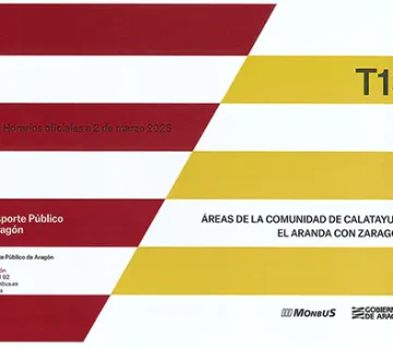 T13 Transporte Público