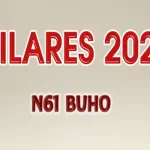 N61 buho pinseque
