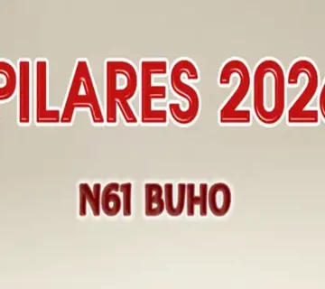 N61 buho pinseque